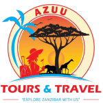 logo5 removebg preview